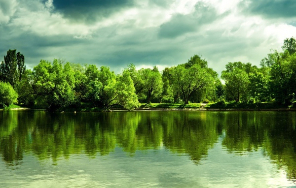 Зеленые деревья отражаются в глади  озера 