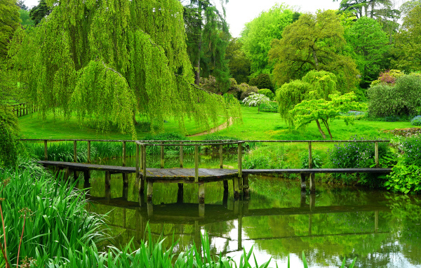 Зеленые деревья над старым мостом у пруда в парке