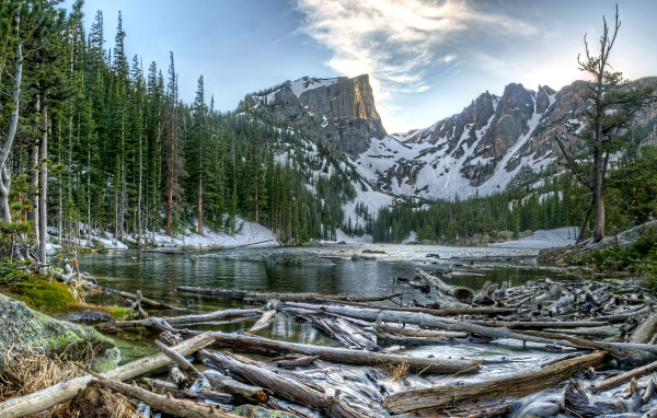 Старые бревна в воде на фоне заснеженных гор