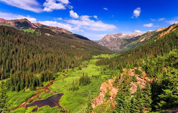 Живописный природный пейзаж под голубым небом 