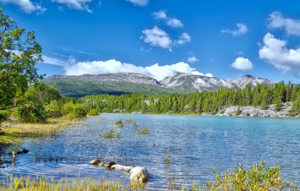 Летний пейзаж природы Аляски 