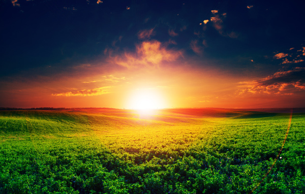 Восход яркого летнего солнца над полем