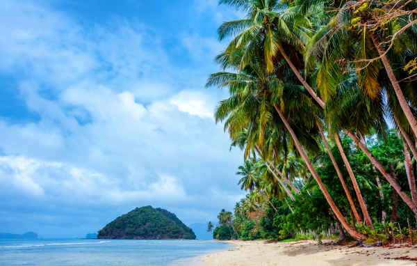 Пальмы на тропическом пляже на побережье Филиппин