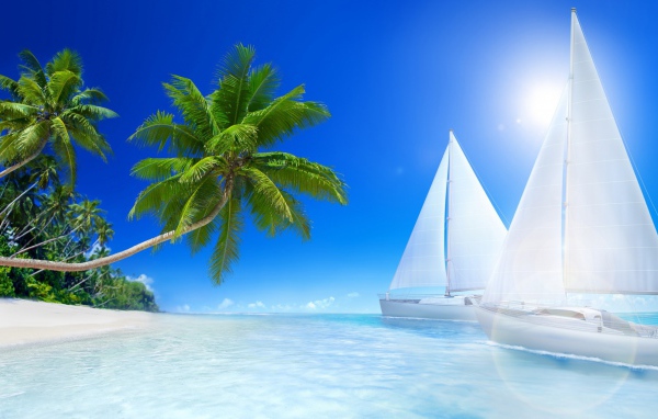 Белые парусники под солнцем у пляжа 