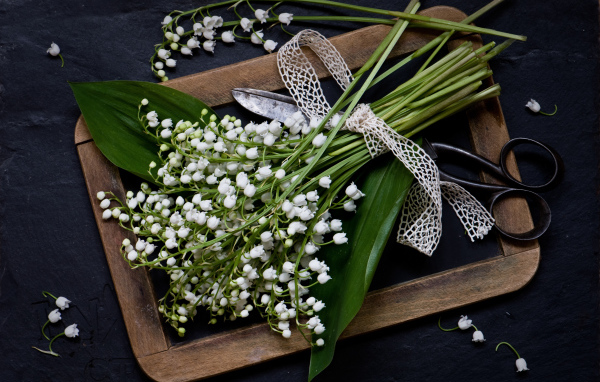 Букет белых ландышей с ножницами на столе