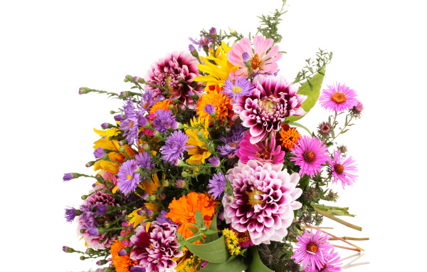 Красивый большой букет осенних цветов на белом фоне