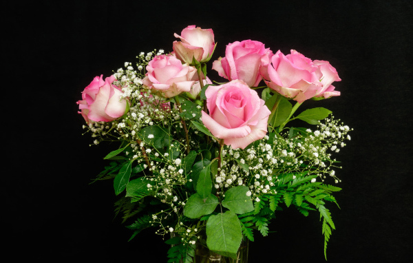 Красивый букет розовых роз с белыми цветами на черном фоне