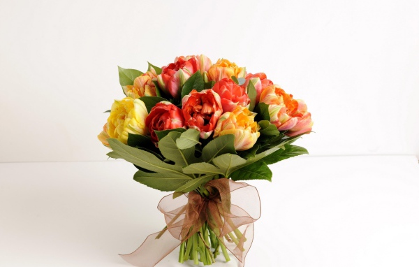 Красивый букет тюльпанов на белом фоне