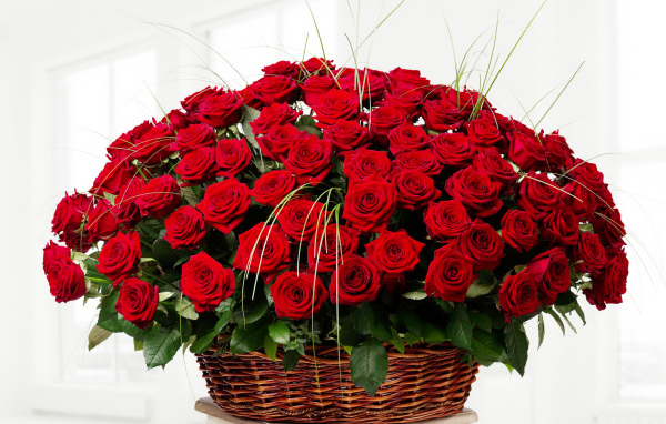 Большой букет красивых красных роз в корзине на белом фоне 