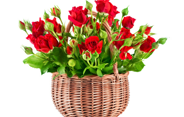 Букет красивых красных роз в корзине на белом фоне 