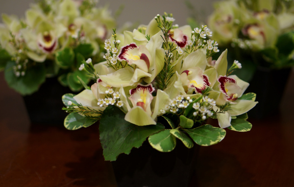 Букет нежной орхидеи и морозника