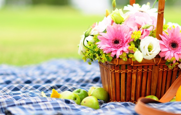 Букет гербер и лютиков в корзине для пикника