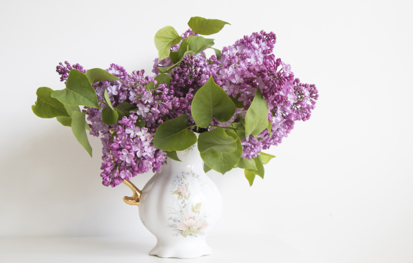 Букет сирени в красивой вазе на белом фоне