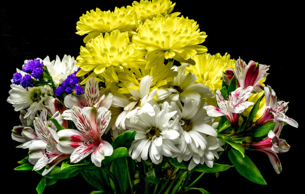 Букет разноцветных хризантем с цветами альстромерия на черном фоне