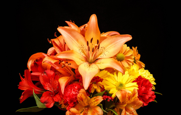 Букет разноцветных лилий на черном фоне 