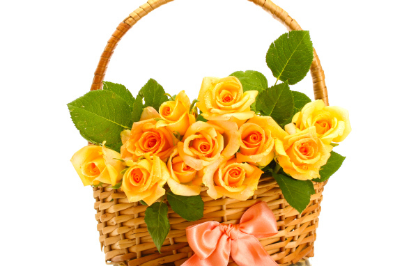 Букет оранжевых роз в корзине с розовым бантиком на белом фоне