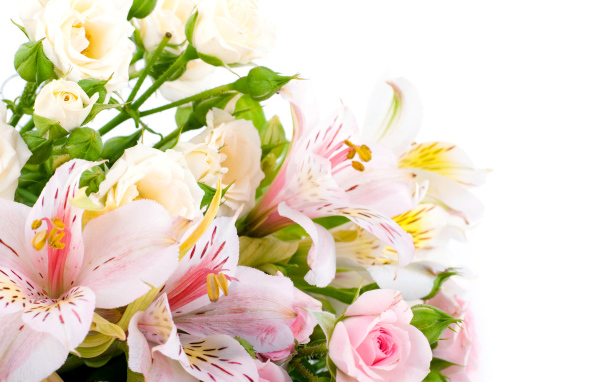 Букет из розовых и белых роз и цветов альстрёмерия на белом фоне