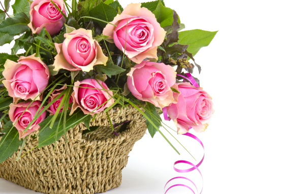 Букет розовых роз корзине с лентой на белом фоне