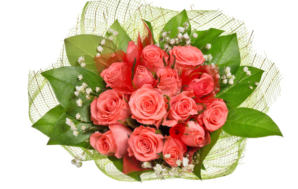 Букет розовых роз с большими зелеными листьями на белом фоне