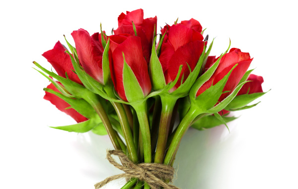 Букет красных роз перевязан веревкой на белом фоне