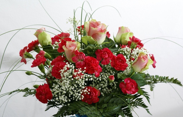 Букет роз с гвоздиками и зеленью на белом фоне