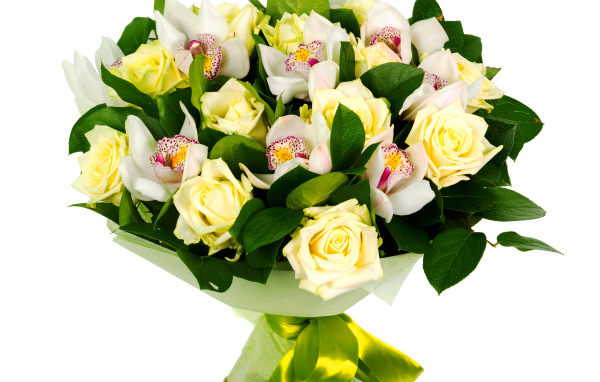 Букет белых роз и белых орхидей на белом фоне