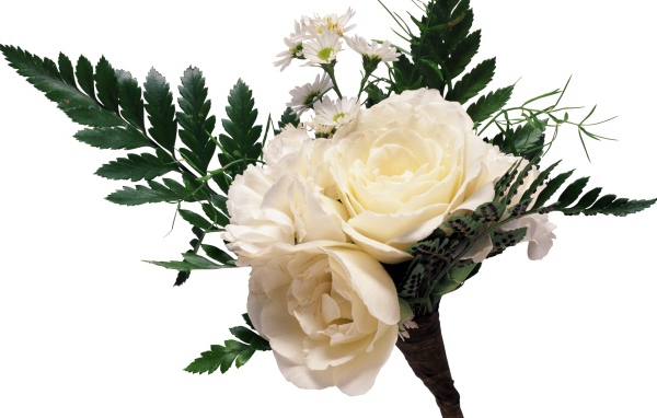 Букет из белых роз с ромашками и большими зелеными листьями на белом фоне