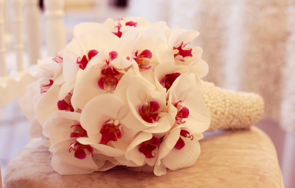 Нежный букет белой орхидеи