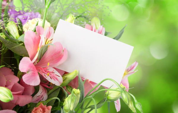 Цветы альстрёмерия и эустома, шаблон для открытки