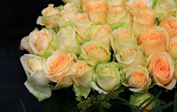 Большой букет нежных роз персикового цвета