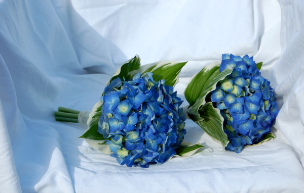 Два букета цветов гортензии