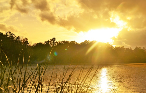 Восход солнца над лесным озером 
