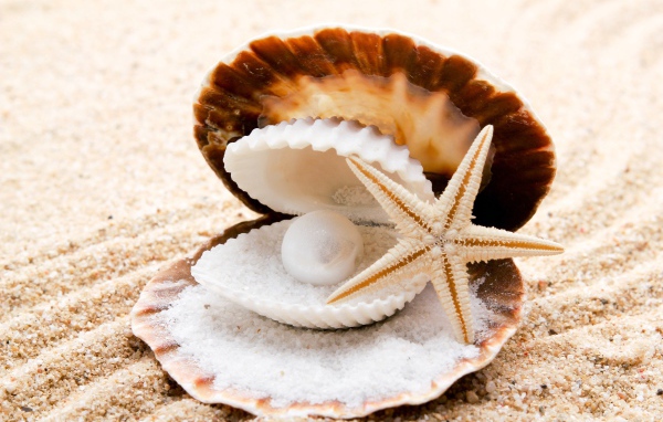 A shell with a pearl and a starfish on white sand near the sea