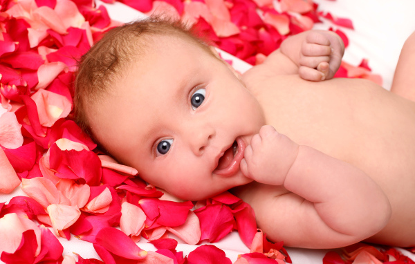 Грудной ребенок лежит на лепестках красной розы