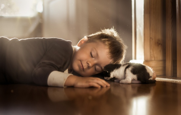 Спящий маленький мальчик и маленький котенок