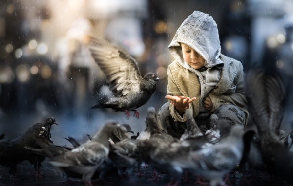 Маленький ребенок кормит голубей 