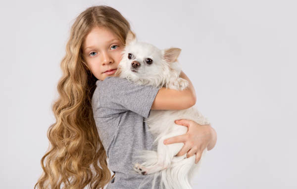 Голубоглазая девочка с белым чихуахуа в руках