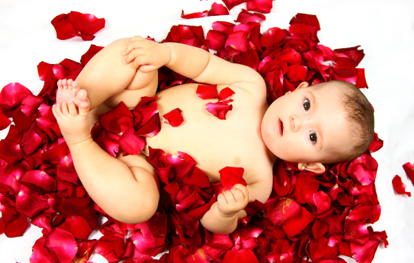 Милый грудной ребенок лежит на лепестках розы на белом фоне