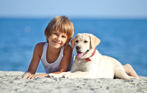 Симпатичный мальчик со щенком ретривера лежат на песке на пляже