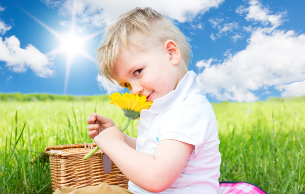 Маленький мальчик с цветком герберы на фоне голубого неба