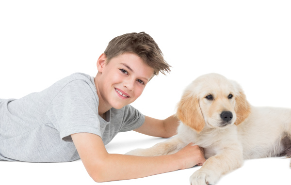 Маленький мальчик с щенком ретривера на белом фоне