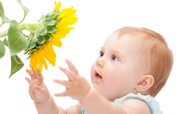 Маленькая милая девочка с подсолнухом на белом фоне