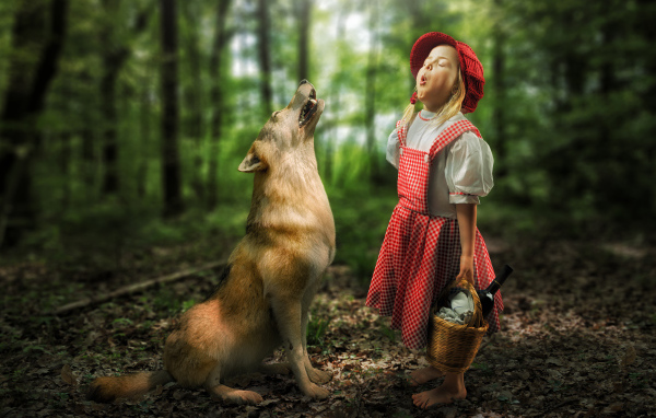 Маленькая девочка в костюме красной шапочки с волком в лесу