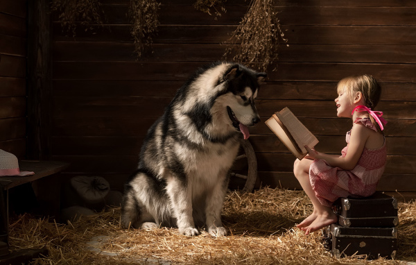 Маленькая девочка читает книгу собаке породы хаски