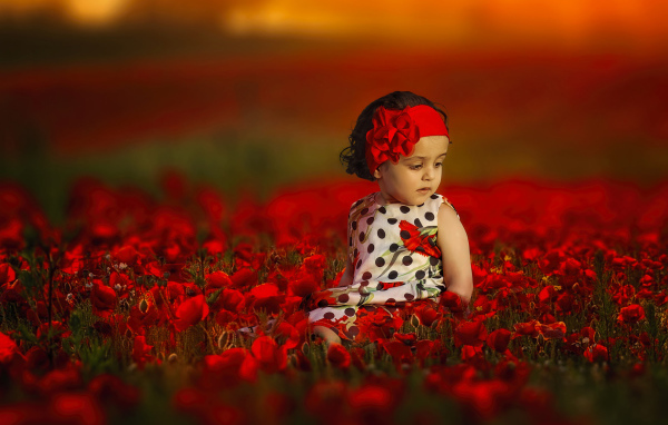 Маленькая девочка сидит в поле с красными маками