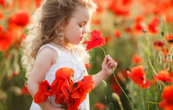 Маленькая девочка с букетом красных маков в руке