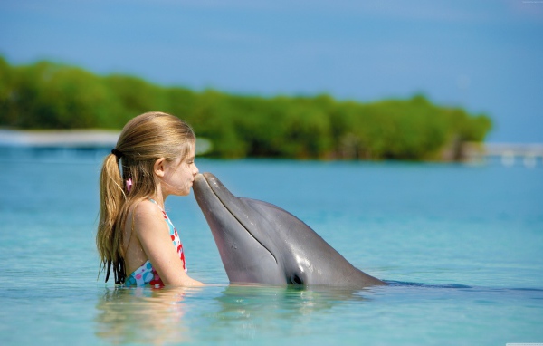 Маленькая девочка с дельфином в голубой воде