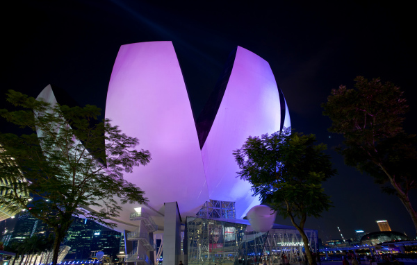 Unusual violet building at night, Singapore