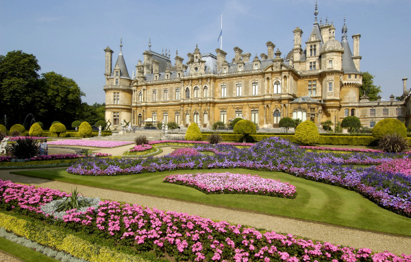 Цветущие цветы у поместья Уоддесдон, Англия 