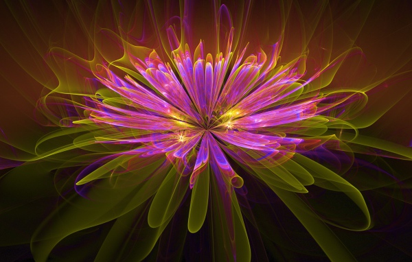 Красивый необычный фрактальный цветок